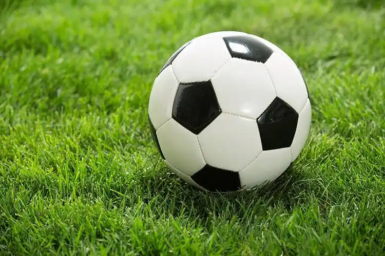 足彩实时竞猜赛况比分平台界面展示